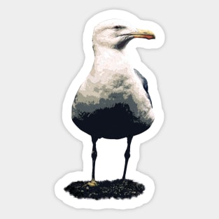 Solitary seagull Sticker